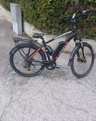 bici elettrica
