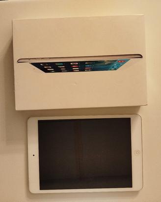 iPad mini+custodia