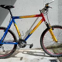 MTB usato