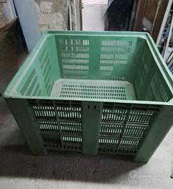 contenitori per olive 