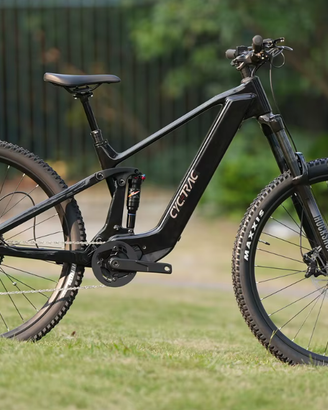 EM19 Carbon E-MTB