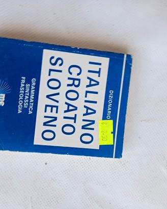 dizionario italiano polacco 