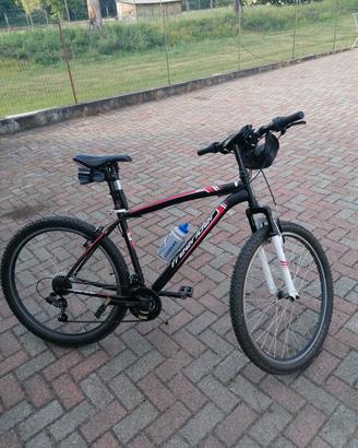 bicicletta uomo 