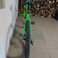 Mountain bike