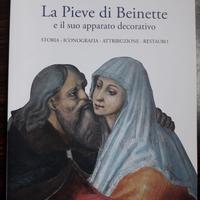LA PIEVE DI BEINETTE e il suo apparato decorativo