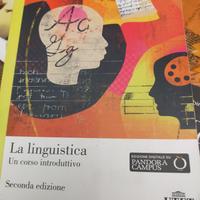 libro scolastico 