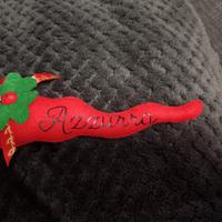 cornetto portafortuna 