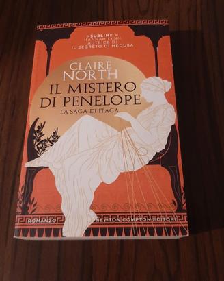 Il Mistero di Penelope La Saga di Itaca