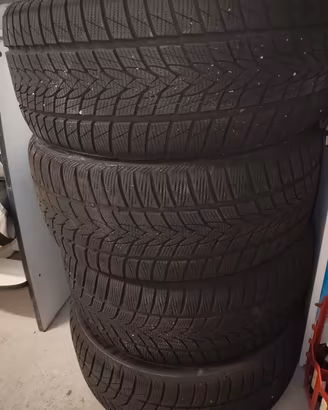 Gomme 225 45 R17 91V invernali  
