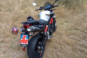 Aprilia Shiver 900 - 2020