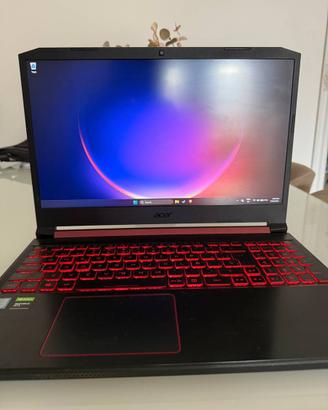 Acer Nitro 5 Gaming Laptop (2019)