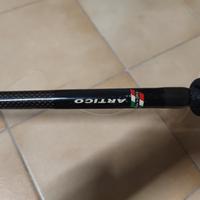 Aquila marina Artico