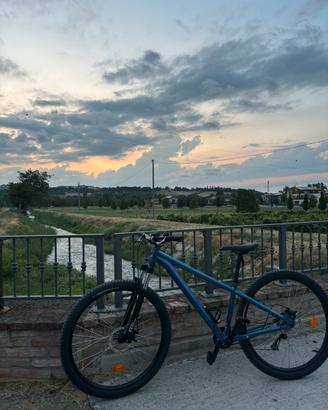 Mtb expl 100