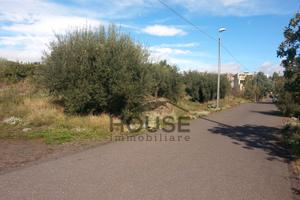 Ragalna - terreno agricolo id: ra045t