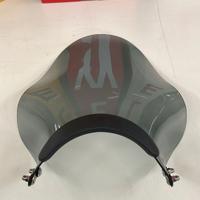 Cupolino Kawasaki W800