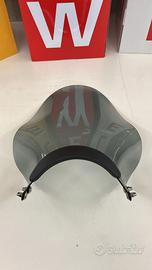 Cupolino Kawasaki W800