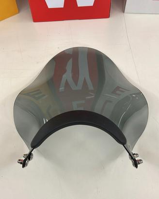 Cupolino Kawasaki W800