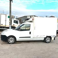 Camion fiat doblo cella frigo frigorifero 0 gradi