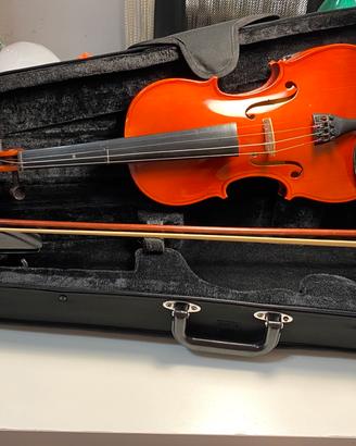 Violino