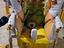 Immagine 3