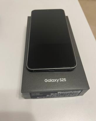 SAMSUNG S25