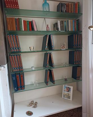 Libreria Molteni con ripiani in cristallo