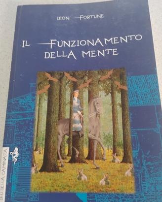 Il funzionamento della mente