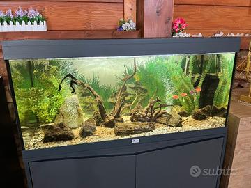 Acquario 103 x 42