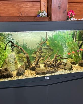 Acquario 103 x 42