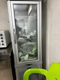 vetrina frigo   torte pasticceria