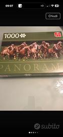 Puzzle Jumbo 1000 pezzi