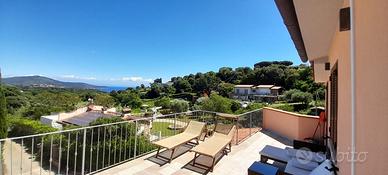 Lettini da mare