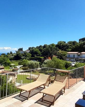 Lettini da mare