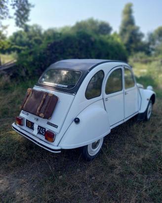 Citroen 2cv special