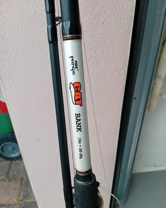 canna da pesca siluro