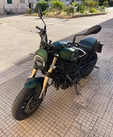Benelli Leoncino 800