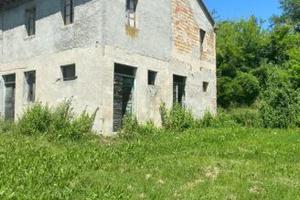 Rudere con giardino, N/318