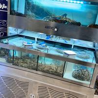 Acquario professionale per pescheria e ristorante