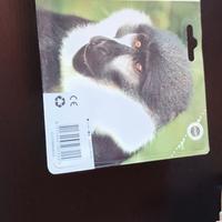 cartucce  stampante epson 