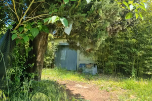 Terreno Agricolo zona Carraia