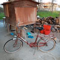 bici pieghevole