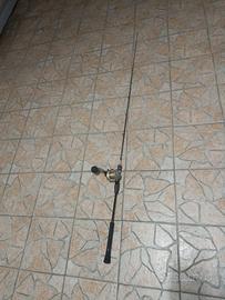 canna  Shimano 