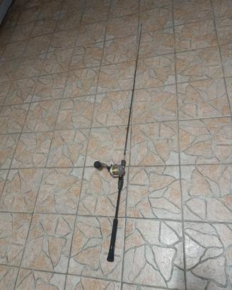 canna  Shimano 