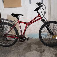 Muddyfox – Da Riparare o Ricambi – Non Funzionante