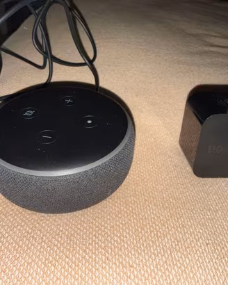 alexa echo dot