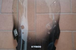 Paravento estivo Kymco Xciting 250 anno 2006