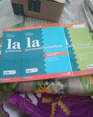 libro scolastico la grammatica italiana 