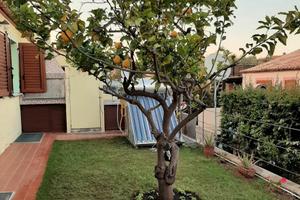 Marina di Tertenia - villetta