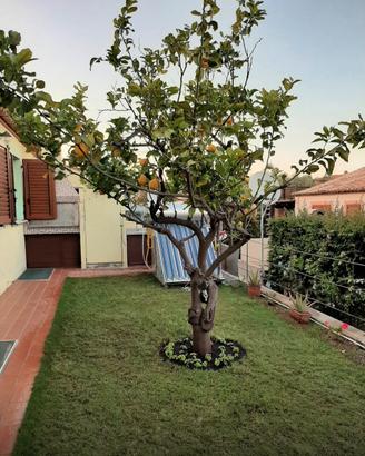 Marina di Tertenia - villetta