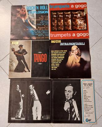 Dischi in vinile (33 giri e 45 giri)